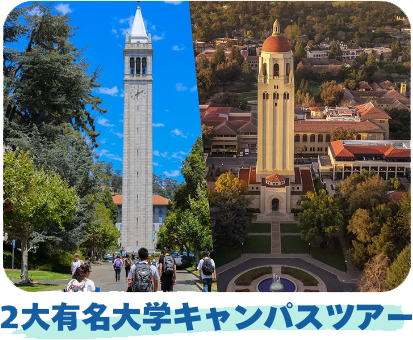 スタンフォード大学　UCバークレー大学　2大有名大学キャンパスツアー